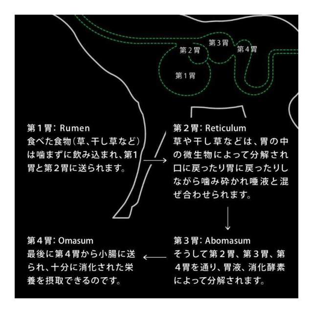 photo5