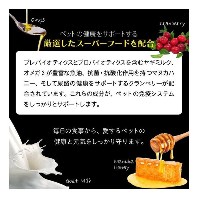 photo6