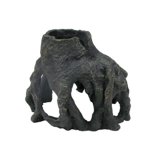 photo1