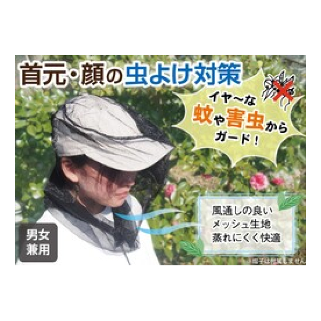photo1