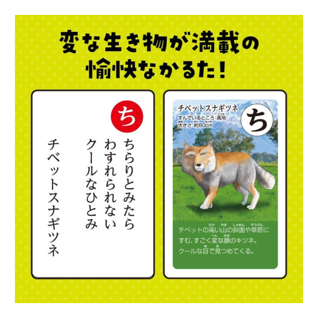 photo2