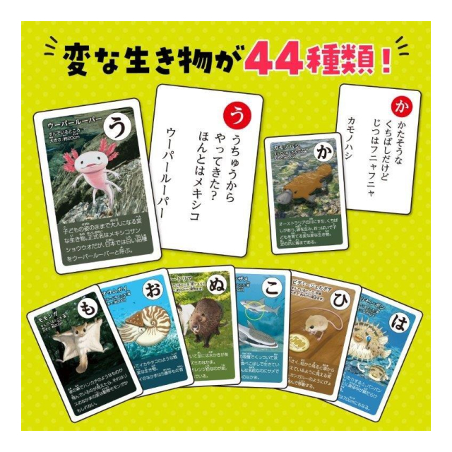 photo3