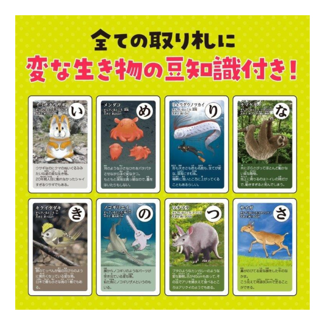 photo5