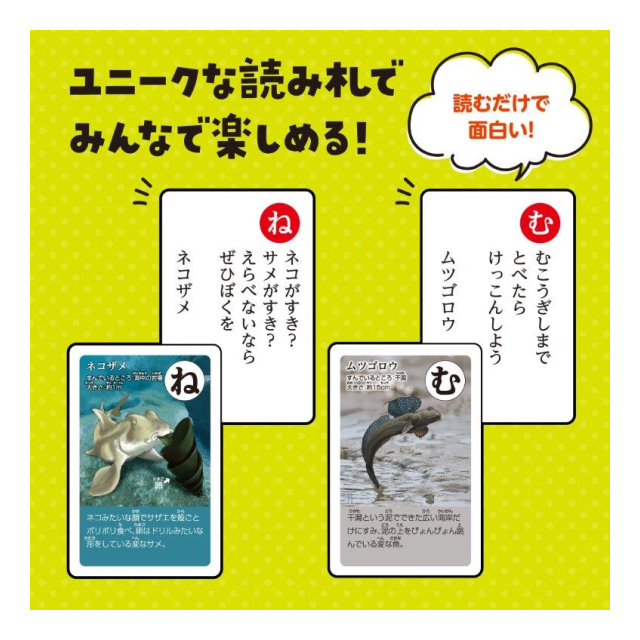 photo6