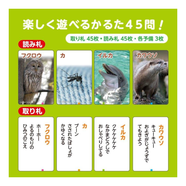 photo5