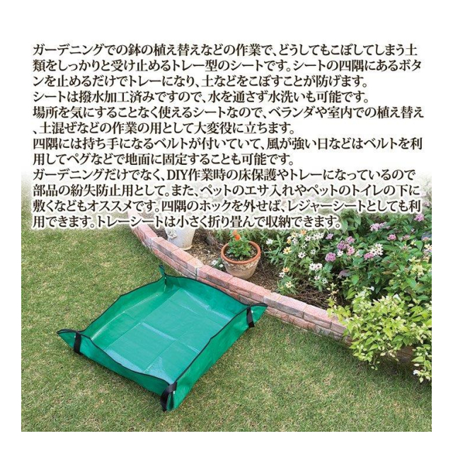 photo3
