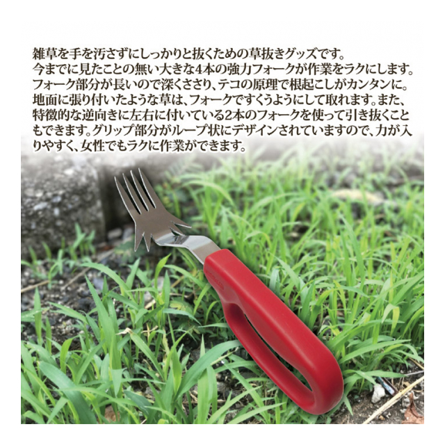photo2