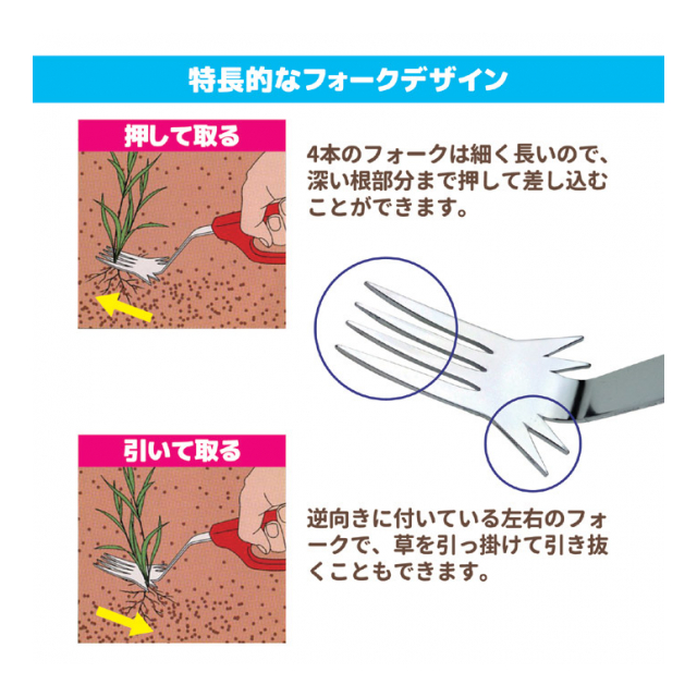 photo3