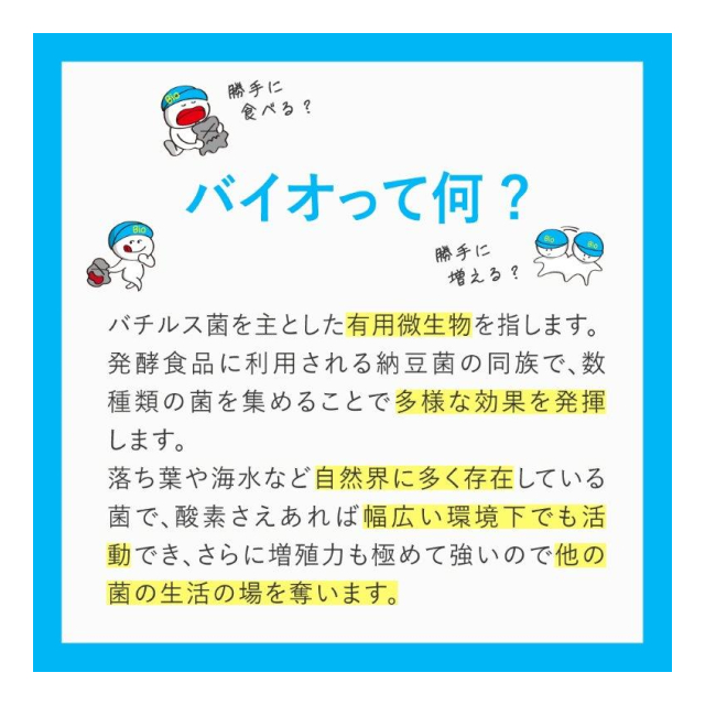 photo3