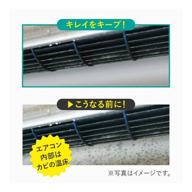 photo4