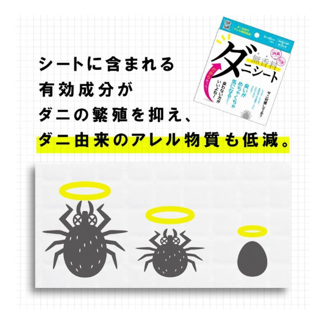 photo3