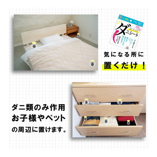 photo4