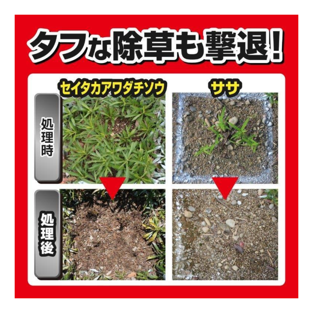 photo6