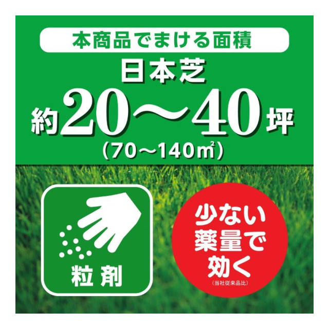 photo5