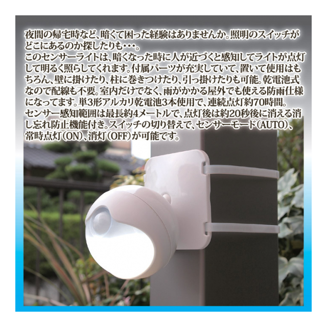 photo2