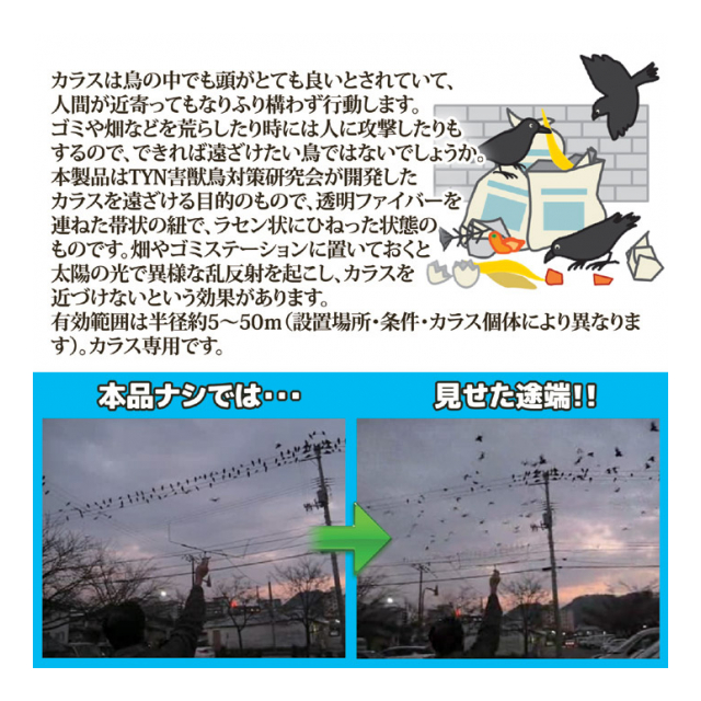 photo3