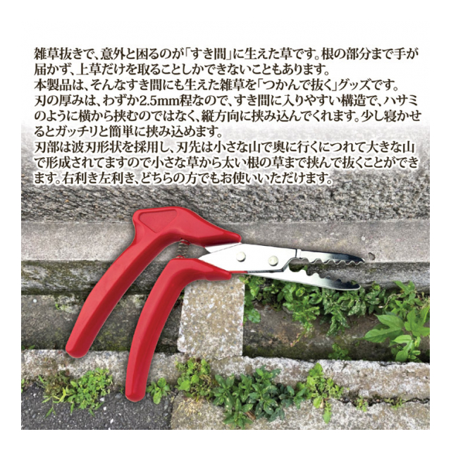 画像3