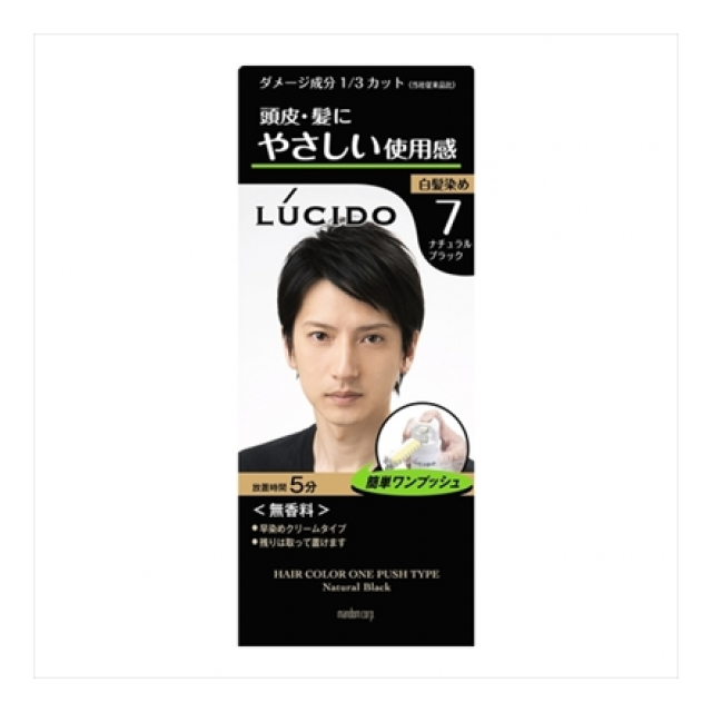 ルシード ワンプッシュケアカラー ナチュラルブラック (医薬部外品)