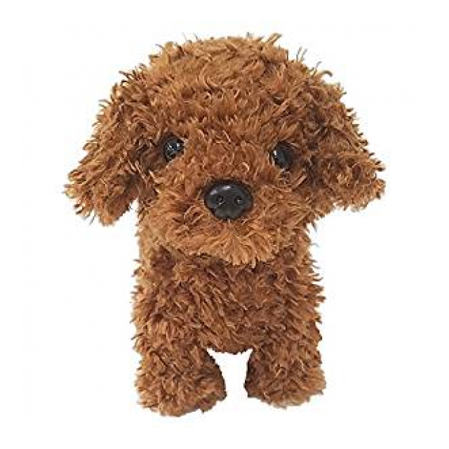 ウォーキングスウィートパピー トイプードル 株式会社新日本機能食品 品番 の卸 問屋 仕入れ 卸売り ザッカネット