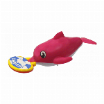 ふろペット　カメ