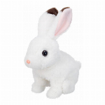 リモコンでおさんぽ　キャンキャン秋田犬