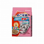 ねこ元気　腎臓の健康維持に配慮１５歳１．６Ｋ