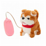 あかちゃん　シバちゃん