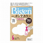 ビゲンポンプカラー　つめかえ　6　ダークブラウン