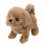 あかちゃん　スコティッシュ