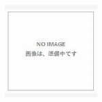 iti)イティドッグ　ビーフ　ディナー［お試し］　４０ｇ