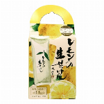 抹茶の生せっけん　固形タイプ　　　　　 90g