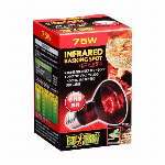Ｇヒートグロー赤外線照射ランプ　１００Ｗ