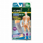 バンテリンコーワアイシングシート１２枚