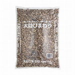 大粒ひまわり 4.5kg