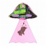 NEW　2Dカイト　バタフライ　ブルー