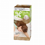 【医薬部外品】リーゼ　泡カラー　ブルーグレー 115ml 【Liese 毛髪保護..