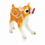 ティーカップパピー EX508-1