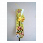 ペッツルート カシャカシャじゃれる かぶと虫