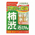 デオタンニング　薬用ストロングソープ 100g 【ボディソープ 殺菌 デオドラントソープ 石鹸】