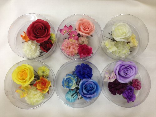 photo1