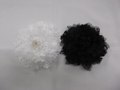 photo1
