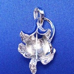 シルバーペンダント ?16
