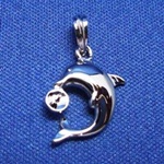 シルバーペンダント ?37