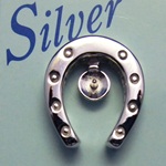 シルバータック　?66