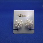 淡水Ｅｇシャワー(白)