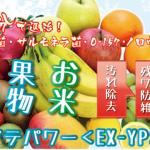 野菜・果物の除菌！　ホタテパワーEX-YS30