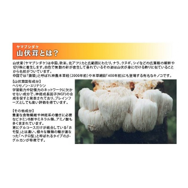 photo2