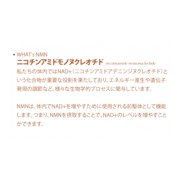 photo3