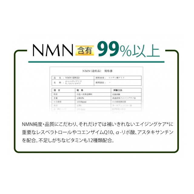 photo7