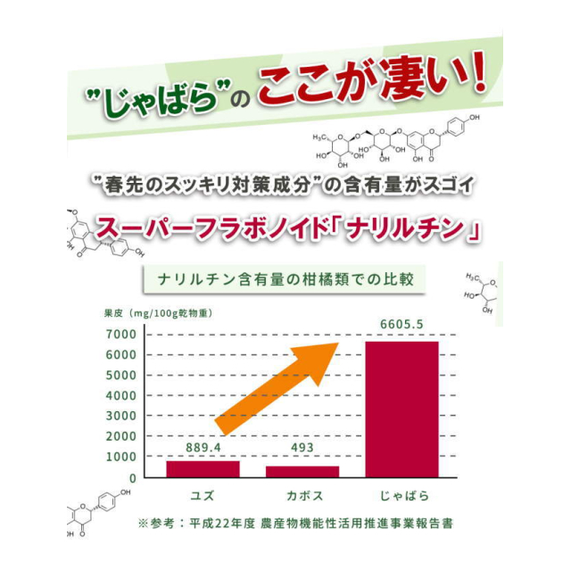 photo5